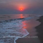 Avatar de Melina Bravo